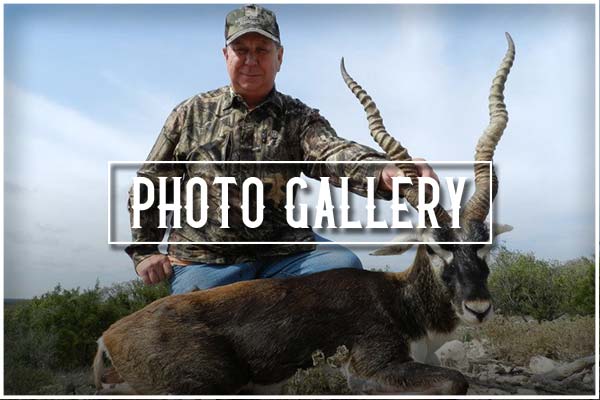 Rock Canyon Ranch Gallery Rock Canyon Ranch Gallery